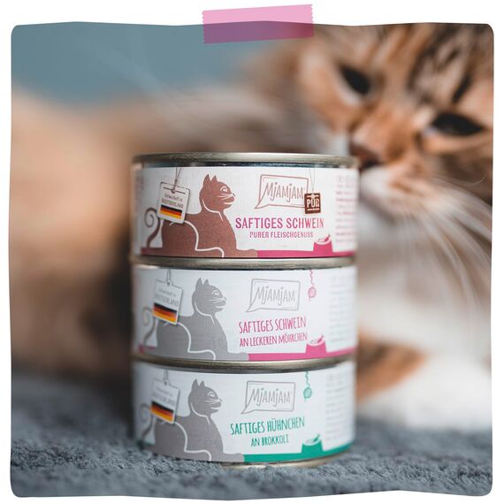 MjAMjAM - Premium Nassfutter für Katzen - Quetschie - saftiges Schwein PUR, 12er Pack (12 x 125g), getreidefrei mit extra viel Fleisch