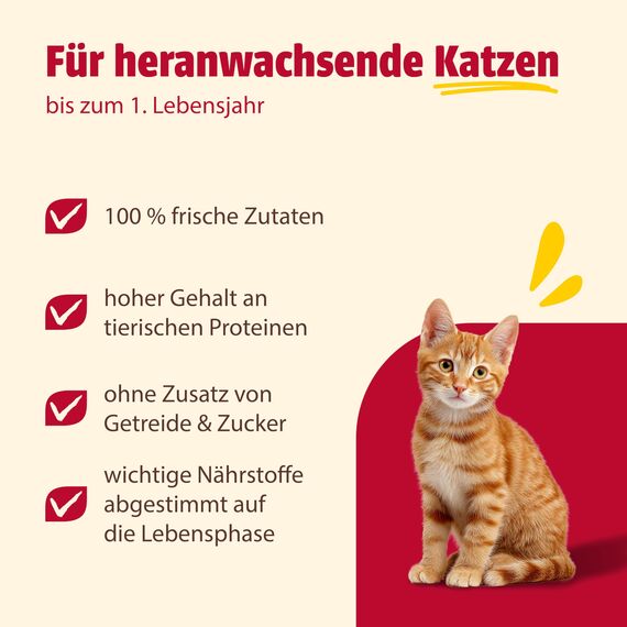 animonda Carny Katzen Nassfutter Kitten Geflügel + Rind (12 x 400g), Kitten getreidefreies Katzennassfutter ohne Zucker für wachsende Kätzchen bis 1 Jahr, mit frischen Zutaten