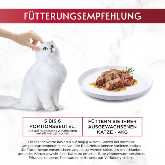 Gourmet Mon Petit Intense Katzenfutter nass, Fisch-Variationen, 8er Pack (8 x 6 Beutel à 50g)