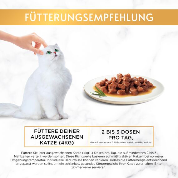 Gourmet Gold Zarte Häppchen in Sauce Katzenfutter nass, Sorten-Mix, 12er Pack (12 x 8 Dosen à 85g)