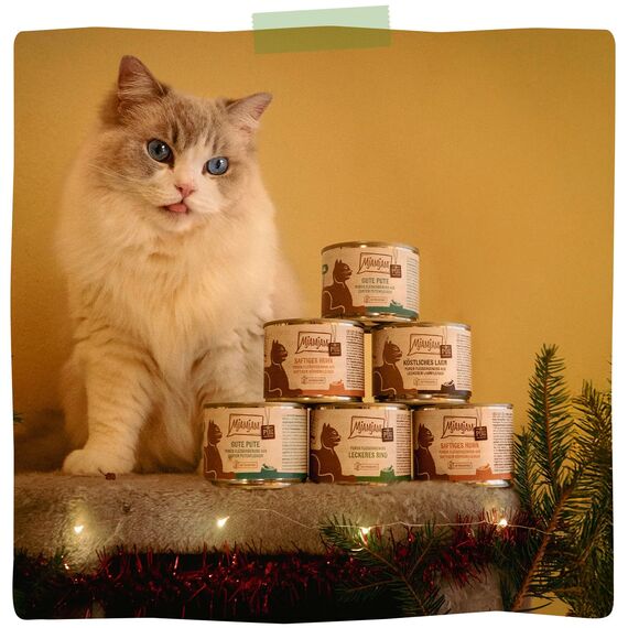 MjAMjAM - Premium Nassfutter für Katzen - purer Fleischgenuss - leckeres Rind pur 400g, 6er Pack (6 x 400g), naturbelassen mit extra viel Fleisch