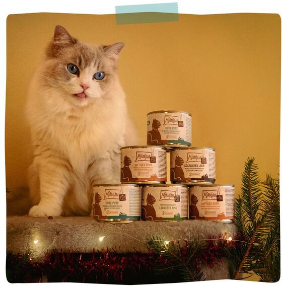 MjAMjAM - Premium Nassfutter für Katzen - Quetschie - purer Fleischgenuss - gute Pute pur, 6er Pack (6 x 300 g), getreidefrei mit extra viel Fleisch