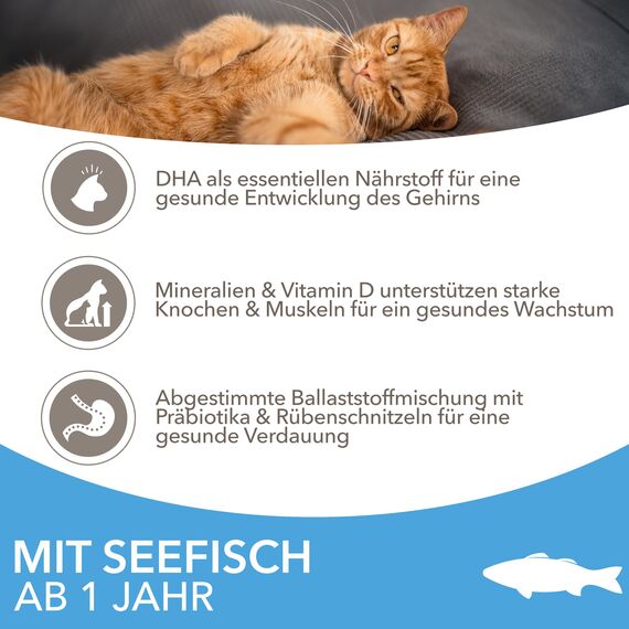 IAMS for Vitality Katzenfutter trocken mit Fisch - Trockenfutter für Katzen im Alter von 1-6 Jahren, 1,5 kg