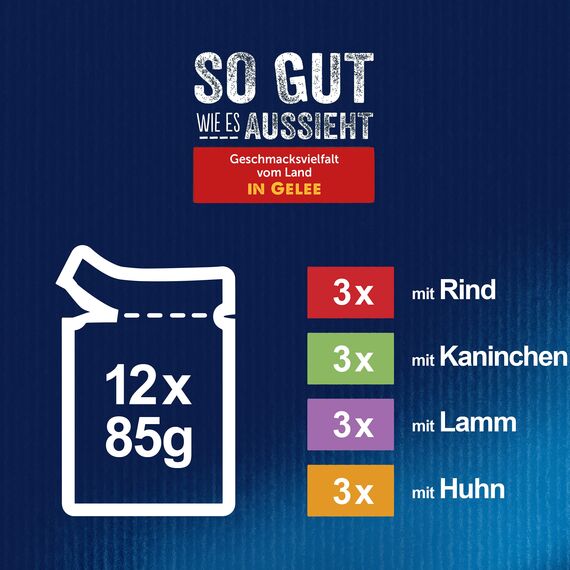 Felix So gut wie es aussieht Katzenfutter nass in Gelee, Sorten-Mix, 6er Pack (6 x 12 Beutel à 85g)