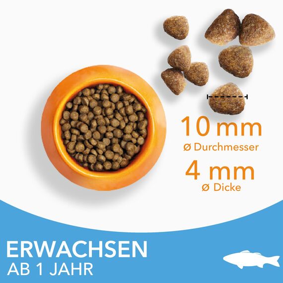IAMS Katzenfutter trocken mit Fisch - Trockenfutter für Katzen im Alter von 1-6 Jahren, 3 kg