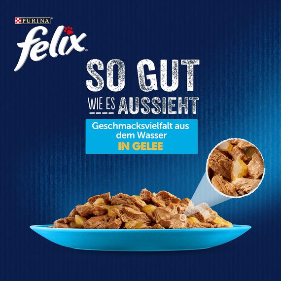 Felix So gut wie es aussieht Katzenfutter nass Geschmacksvielfalt aus dem Wasser in Gelee, Fisch Sorten-Mix, 4er Pack (4 x 24 Beutel à 85g)