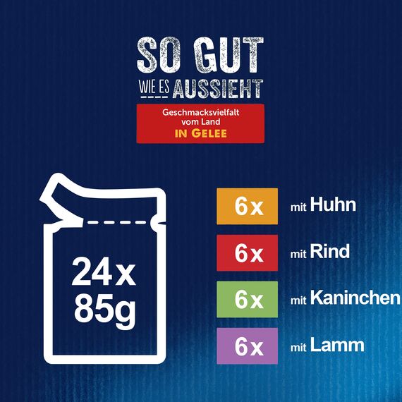 Felix So gut wie es aussieht Katzenfutter nass Geschmacksvielfalt vom Land in Gelee, Sorten-Mix, 4er Pack (4 x 24 Beutel à 85g)