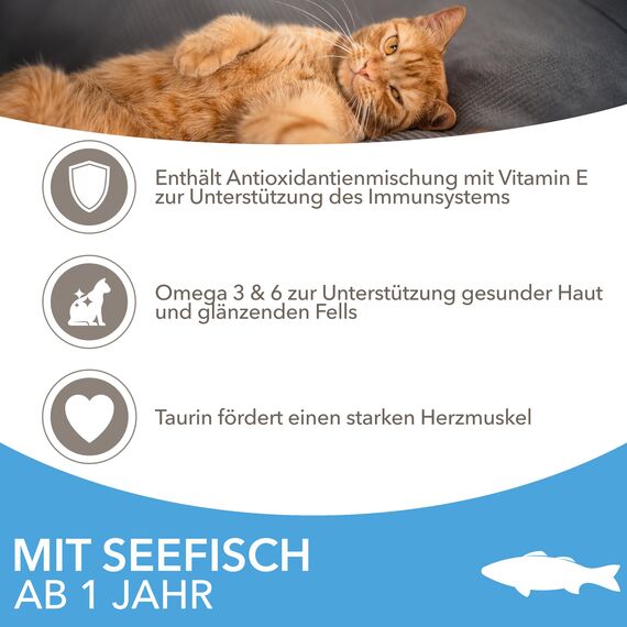 IAMS Katzenfutter trocken mit Fisch - Trockenfutter für Katzen im Alter von 1-6 Jahren, 3 kg