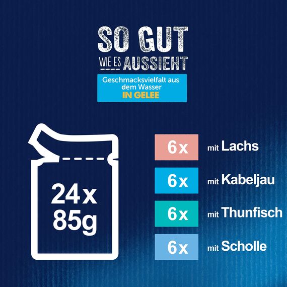 Felix So gut wie es aussieht Katzenfutter nass Geschmacksvielfalt aus dem Wasser in Gelee, Fisch Sorten-Mix, 4er Pack (4 x 24 Beutel à 85g)