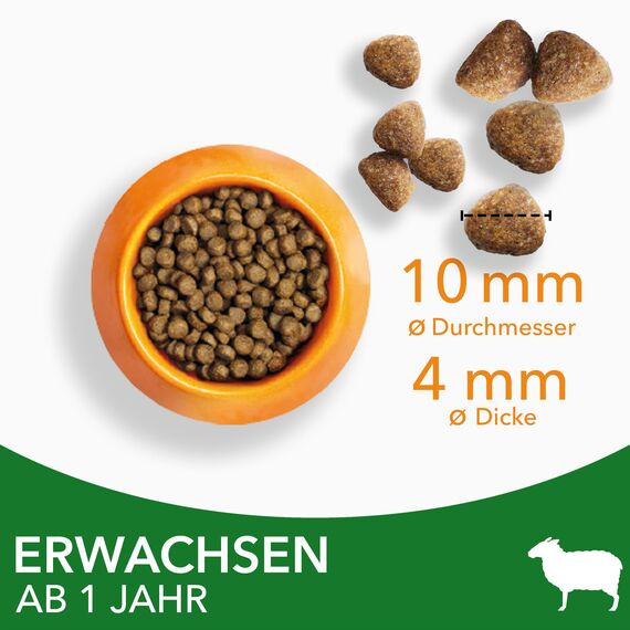 IAMS Katzenfutter trocken mit Lamm - Trockenfutter für Katzen im Alter von 1-6 Jahren, 1,5 kg