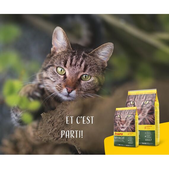 JOSERA NatureCat (1 x 400 g) | Adult | Premium Trockenfutter für ausgewachsene Katzen | Lachs & Geflügel | erlesene Kräuter & gesunde Früchte | getreidefrei | Katzenfutter | 2er Pack