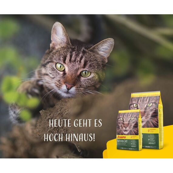 JOSERA NatureCat (1 x 400 g) | Adult | Premium Trockenfutter für ausgewachsene Katzen | Lachs & Geflügel | erlesene Kräuter & gesunde Früchte | getreidefrei | Katzenfutter | 1er Pack