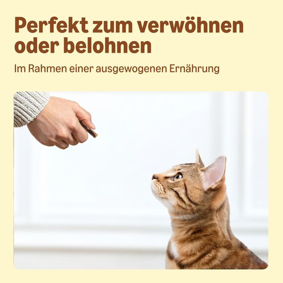 by Amazon Katzensticks Truthahn & Lamm, 50 g