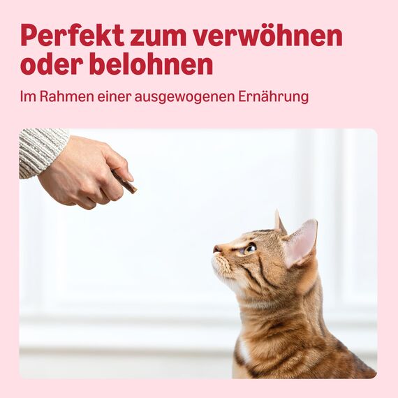by Amazon Katzensticks Lachs & Forelle 50g