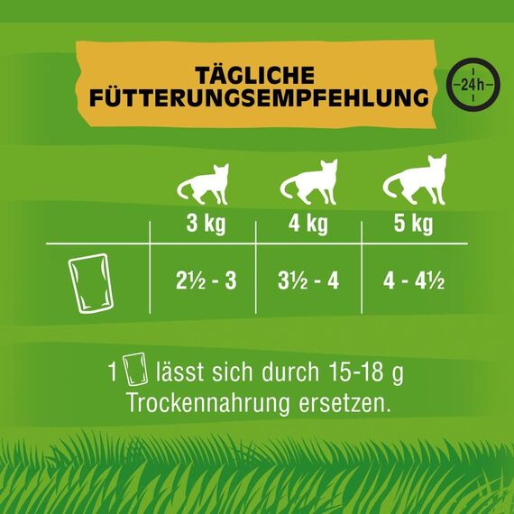 Kitekat Katzenfutter Nassfutter Bunte Vielfalt in Sauce – Feuchtfutter in 48 Portionsbeuteln – 2er Pack (2 x 24 Portionsbeutel à 85g)