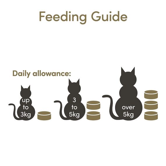 Applaws 100% Natural Grain Free Wet Cat Food, Tuna 70g Tin, Pack of 24