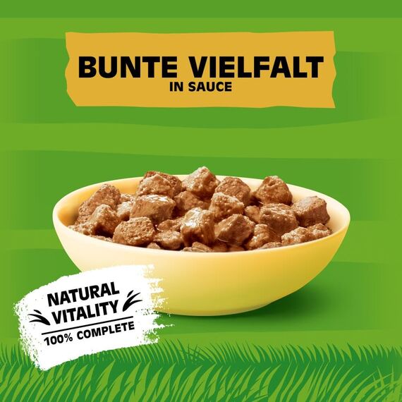 Kitekat Katzenfutter Nassfutter Bunte Vielfalt in Sauce – Feuchtfutter in 48 Portionsbeuteln – 2er Pack (2 x 24 Portionsbeutel à 85g)