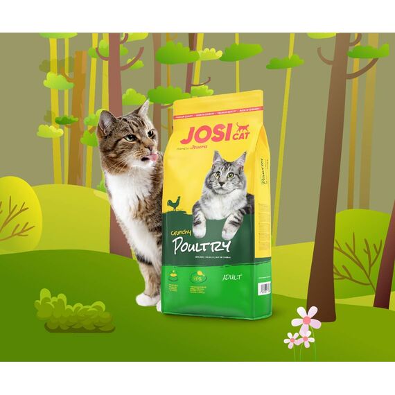 JosiCat Crunchy Poultry (1 x 10 kg), Premium Trockenfutter für ausgewachsene Katzen, Katzenfutter, powered by JOSERA, 1er Pack