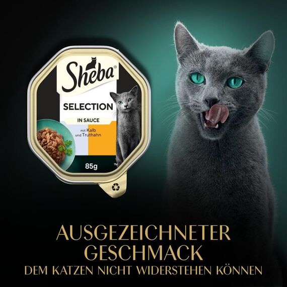 SHEBA Schale Nassfutter für Katzen Selection in Sauce mit Kalb und Truthahn 2 x 11 x 85g
