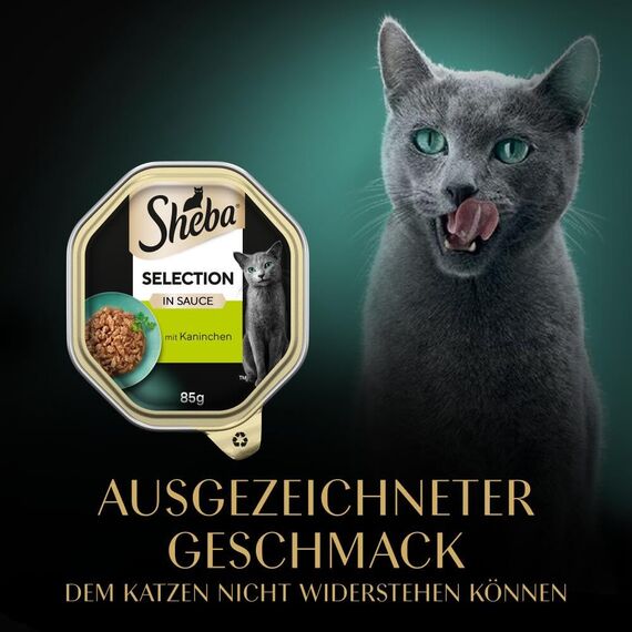 SHEBA Schale Nassfutter für Katzen Selection in Sauce mit Kaninchenhäppchen 2 x 11 x 85g