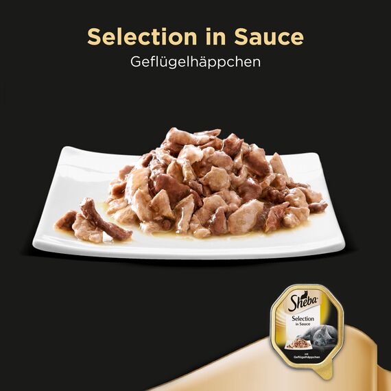 SHEBA Schale Nassfutter für Katzen Selection in Sauce mit Geflügelhäppchen 2 x 11 x 85g (Packung mit 2)