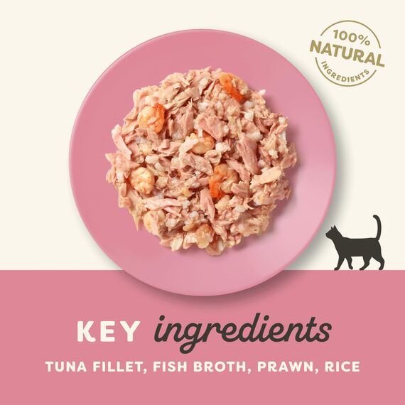 Applaws 100% natürliches Premium-Nassfutter für ausgewachsene Katzen - Thunfischfilet und Garnelen in Brühe - 24 x 70g Dosen