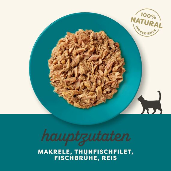 Applaws 100% natürliches Premium-Nassfutter für Katzen, Meeresfisch in Brühe - Packung mit 24 x 70g Dosen