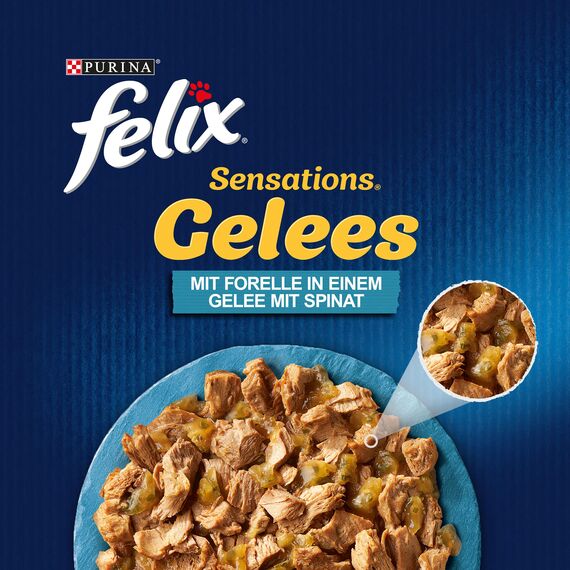 Felix Sensations Gelees Katzenfutter nass, mit Forelle und Spinat in Gelee, 26er Pack (26 x 85g)
