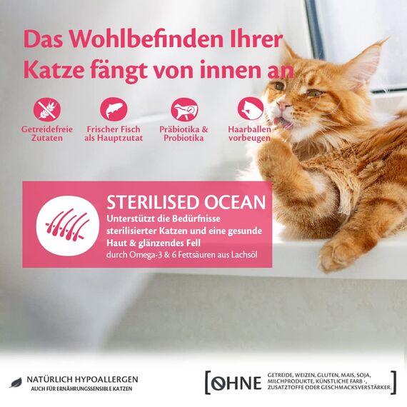 Wellness CORE Sterilised Ocean 300g, Lachs – Katzenfutter Trocken für sterilisierte Katzen, getreidefrei, natürlich, hypoallergen, proteinreich, unterstützt gesunde Haut und glänzendes Fell