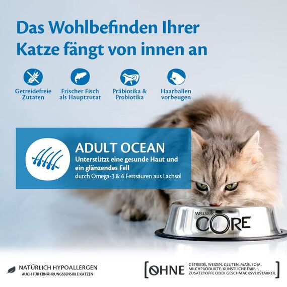 Wellness CORE Ocean 300g, Lachs & Thunfisch – Katzenfutter Trocken für ausgewachsene Katzen, getreidefrei, natürlich, hypoallergen, proteinreich, unterstützt gesunde Haut und glänzendes Fell