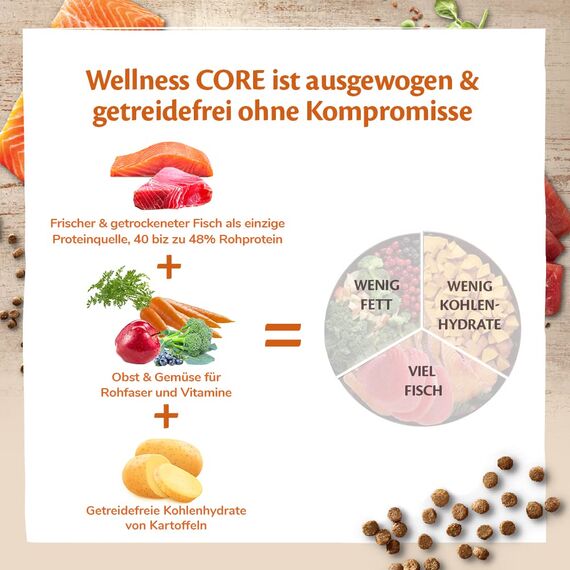 Wellness CORE Ocean 4 kg, Lachs & Thunfisch – Katzenfutter Trocken für ausgewachsene Katzen, getreidefrei, natürlich, hypoallergen, proteinreich, unterstützt gesunde Haut und glänzendes Fell