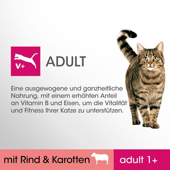 Perfect Fit Katzenfutter Nassfutter Adult 1+ mit Rind & Karotten in Sauce, 12 Portionsbeutel (12 x 85g)