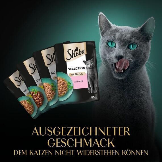Sheba Selection in Sauce Katzennassfutter – Feine Vielfalt (MSC) – Hochwertiges Feuchtfutter in 48 Portionsbeuteln für Katzen – Katzenfutter – 4er Pack (4 x 12 Portionsbeutel à 85g)