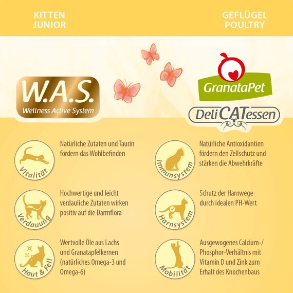 GranataPet DeliCatessen Kitten / Junior Geflügel, Trockenfutter für Katzen, schmackhaftes Katzenfutter, Alleinfuttermittel ohne Getreide & ohne Zuckerzusätze, 300 g