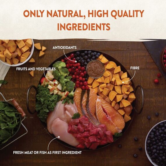 Wellness CORE Original, Pute & Huhn, 300 g, Premium Katzenfutter trocken für ausgewachsene Katzen, ohne Zuckerzusatz, getreidefrei, mit hohem Fleischanteil, beugt Haarballen vor (Packung mit 2)