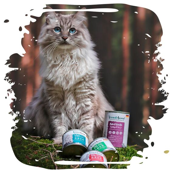 Venandi Animal Premium Nassfutter für Katzen, Probierpaket III, Huhn, Pute, Rind, Huhn + Kaninchen, Kalb, Truthahn, 6 x 400 g, getreidefrei und naturbelassen, 2.4 kg
