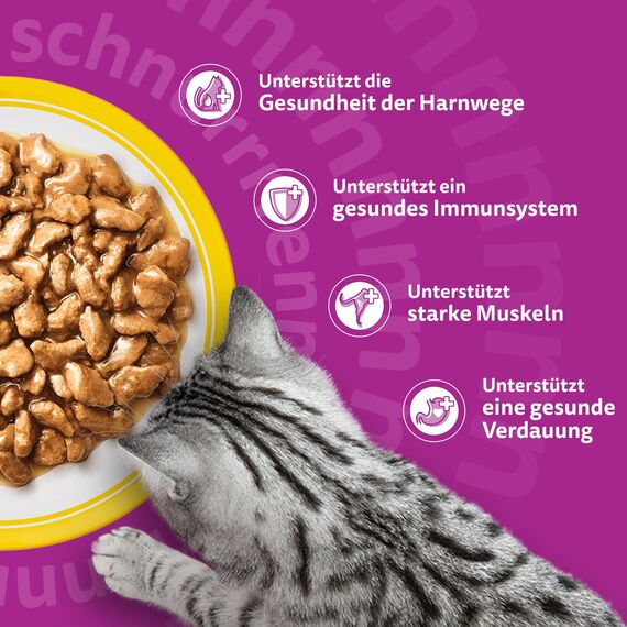 Whiskas 7+ Katzenfutter Geflügel Auswahl in Sauce, 24x85g (2 Packungen) – Hochwertiges Nassfutter ab dem 7. Lebensjahr in 48 Portionsbeuteln