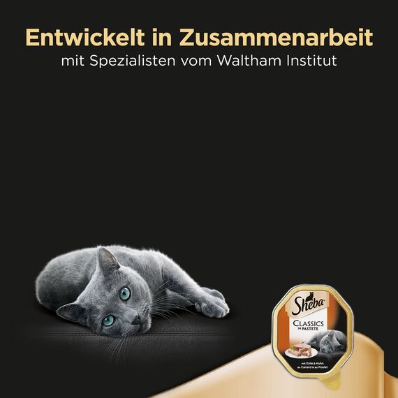 Sheba Classics in Pastete – Katzenfutter als Pasteten mit feinen Stückchen – Ente und Huhn – Getreidefrei – 22 x 85g (Packung mit 2)