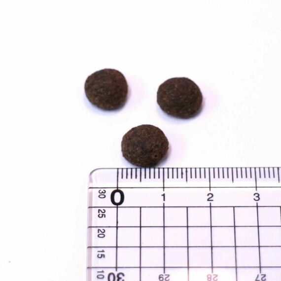 animonda INTEGRA PROTECT Katzenfutter Sensitive (1 x 300g), von Veterinären empfohlen bei Futterallergie, Hochwertiges Diätalleinfutter für Erwachsene Katzen (Packung mit 2)