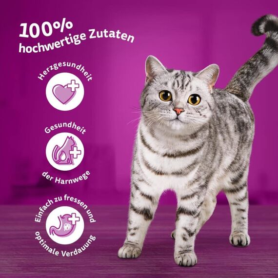 Whiskas Senior 11+ Katzennassfutter Geflügel Auswahl in Gelee, 48 Portionsbeutel, 12x85g (8er Pack) – Hochwertiges Katzenfutter nass, für Katzen ab dem 11. Lebensjahr