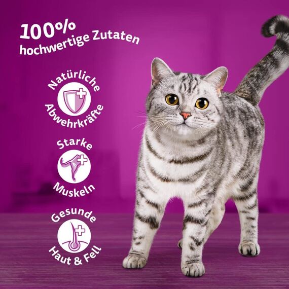 WHISKAS Nassfutter in Gelee für Katzen 12 x 85g Geflügel Auswahl (4 Packungen) 48 Portionsbeutel