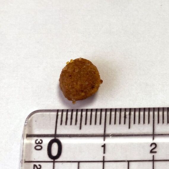 animonda INTEGRA PROTECT Katzenfutter Renal (Niere) (1 x 300g), v von Veterinären empfohlen bei Niereninsuffizienz, Hochwertiges Diätalleinfutter für erwachsene Katzen