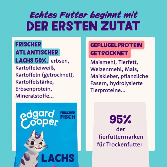 Edgard & Cooper Katzenfutter, Trockenfutter für Katzen, (Lachs, 2kg), Getreidefrei, voll von frischem Fisch und natürlichen Zutaten, geeignet für sterilisierte und aktive Katzen