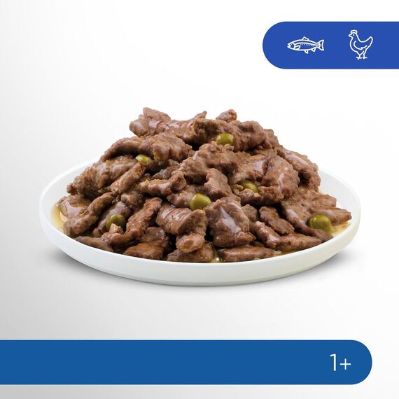 Perfect Fit Indoor 1+ – Nassfutter für Erwachsene Hauskatzen ab 1 Jahr – Auswahl in Sauce – Unterstützt die Vitalität – 52 x 85 g