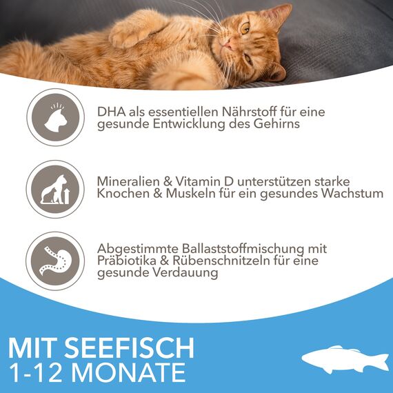 IAMS for Vitality Junior Katzenfutter mit Fisch - Trockenfutter für Kitten im Alter von 1-12 Monaten, 10 kg