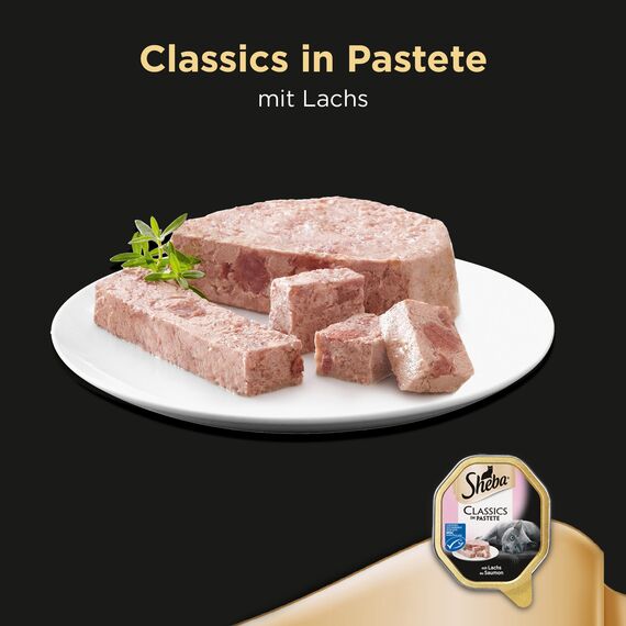 SHEBA Schale Nassfutter für Katzen Classics in Pastete mit Lachs 2 x 11 x 85g (Packung mit 2)