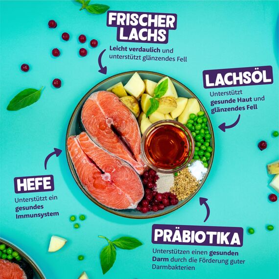 Edgard & Cooper Katzenfutter, Trockenfutter für Katzen, (Lachs, 4kg), Getreidefrei, voll von frischem Fisch und natürlichen Zutaten, geeignet für sterilisierte und aktive Katzen