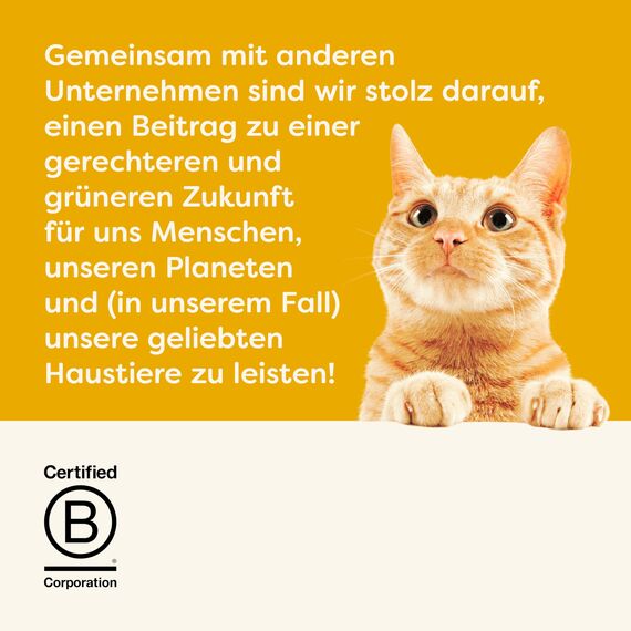 Applaws Premium Natural Katzenfutter Nass, Huhn mit Wildreis in Brühe 70g Portionsbeutel (12x70g )