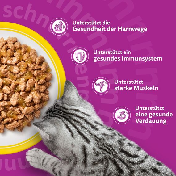 Whiskas Senior 11+ Katzennassfutter Geflügel Auswahl in Gelee, 48 Portionsbeutel, 12x85g (4er Pack) – Hochwertiges Katzenfutter nass, für Katzen ab dem 11. Lebensjahr