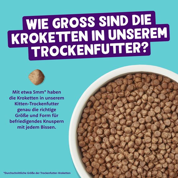 Edgard Cooper Kitten Trockenfutter, Ente & Huhn, 750g, Katzenfutter trocken Junior, ohne Zucker und getreidefrei, sterilisierte Katzen und aktive Katzen